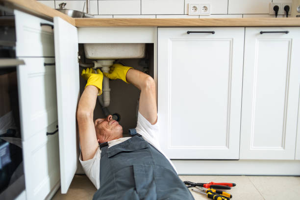 Professional Plumbing in Waikapu, HI